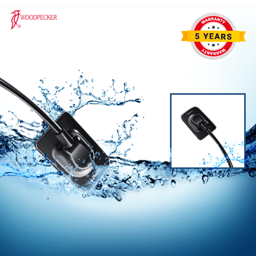 RVG Sensor